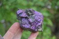 Natural Metallic Purpurite Cobbed Specimens x 6 From Erongo, Namibia