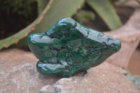 Polished Flower Banded Malachite Free Forms x 6 From Congo