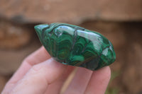 Polished Flower Banded Malachite Free Forms x 6 From Congo