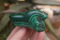 Polished Flower Banded Malachite Free Forms x 6 From Congo