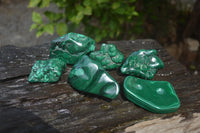 Polished Flower Banded Malachite Free Forms x 6 From Congo