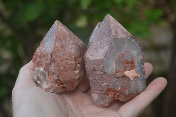 Natural Hematite Coated Quartz Crystals x 12 From Madagascar