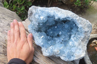 Natural Celestite Geode Specimen x 1 From Sakoany, Madagascar