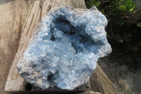 Natural Celestite Geode Specimen x 1 From Sakoany, Madagascar