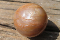 Polished Peach Moonstone Spheres x 4 From Madagascar