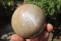 Polished Peach Moonstone Spheres x 4 From Madagascar