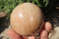 Polished Peach Moonstone Spheres x 4 From Madagascar