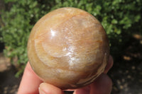 Polished Peach Moonstone Spheres x 4 From Madagascar