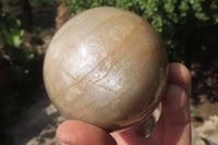 Polished Peach Moonstone Spheres x 4 From Madagascar