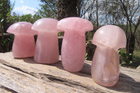 Polished Rose Quartz Mushrooms x 4 From Madagascar