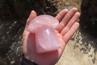 Polished Rose Quartz Mushrooms x 4 From Madagascar