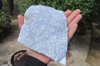 Natural Crystalline Blue Lace Agate Plates x 2 From Namibia