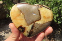 Polished Septerye Hearts x 6 From Mahajanga, Madagascar