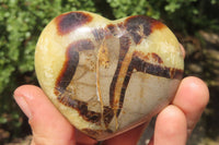 Polished Septerye Hearts x 6 From Mahajanga, Madagascar