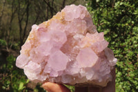 Natural Ametrine Spirit Quartz Clusters x 2 From Boekenhouthoek, South Africa