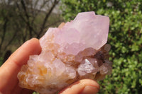 Natural Ametrine Spirit Quartz Clusters x 2 From Boekenhouthoek, South Africa