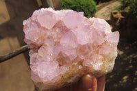 Natural Ametrine Spirit Quartz Clusters x 2 From Boekenhouthoek, South Africa