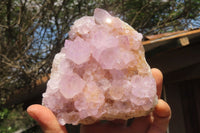 Natural Ametrine Spirit Quartz Clusters x 2 From Boekenhouthoek, South Africa