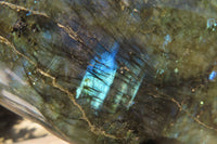 Polished Labradorite Standing Free Forms x 2 From Tulear, Madagascar