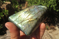 Polished Labradorite Standing Free Forms x 2 From Tulear, Madagascar