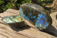 Polished Labradorite Standing Free Forms x 2 From Tulear, Madagascar