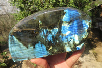 Polished Labradorite Standing Free Forms x 2 From Tulear, Madagascar