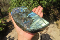 Polished Labradorite Standing Free Forms x 2 From Tulear, Madagascar