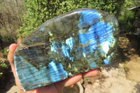 Polished Labradorite Standing Free Forms x 2 From Tulear, Madagascar