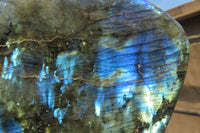 Polished Labradorite Standing Free Forms x 2 From Tulear, Madagascar