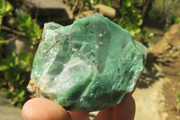 Natural Jade Cobbed Specimens x 12 From Swaziland