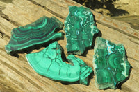 Polished Malacolla Slices x 4 From Kalukundi Mine, Congo