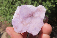 Natural Amethyst Spirit Quartz Clusters x 12 From Boekenhouthoek, South Africa