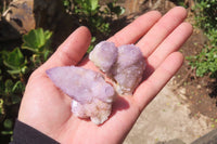 Natural Amethyst Spirit Quartz Clusters x 12 From Boekenhouthoek, South Africa