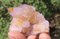 Natural Amethyst Spirit Quartz Clusters x 12 From Boekenhouthoek, South Africa