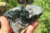 Natural Libethenite Crystals On Dolomite Matrix Specimens x 6 From Shituru, Congo