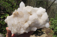 Natural White Quartz Clusters x 2 From Madagascar