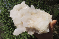 Natural White Quartz Clusters x 2 From Madagascar