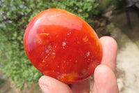 Polished Carnelian Palm Stones x 12 From Madagascar