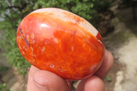 Polished Carnelian Palm Stones x 12 From Madagascar