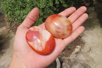 Polished Carnelian Palm Stones x 12 From Madagascar