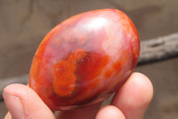 Polished Carnelian Palm Stones x 12 From Madagascar