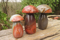 Polished Polychrome Jasper Mushrooms x 6 From Madagascar