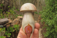 Polished Polychrome Jasper Mushrooms x 6 From Madagascar