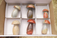 Polished Polychrome Jasper Mushrooms x 6 From Madagascar