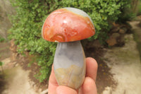 Polished Polychrome Jasper Mushrooms x 6 From Madagascar