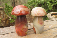 Polished Polychrome Jasper Mushrooms x 6 From Madagascar