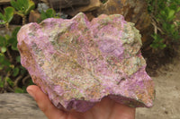 Natural Stichtite Specimens x 2 From Barberton, South Africa