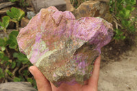 Natural Stichtite Specimens x 2 From Barberton, South Africa