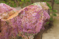 Natural Stichtite Specimens x 2 From Barberton, South Africa