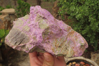 Natural Stichtite Specimens x 2 From Barberton, South Africa